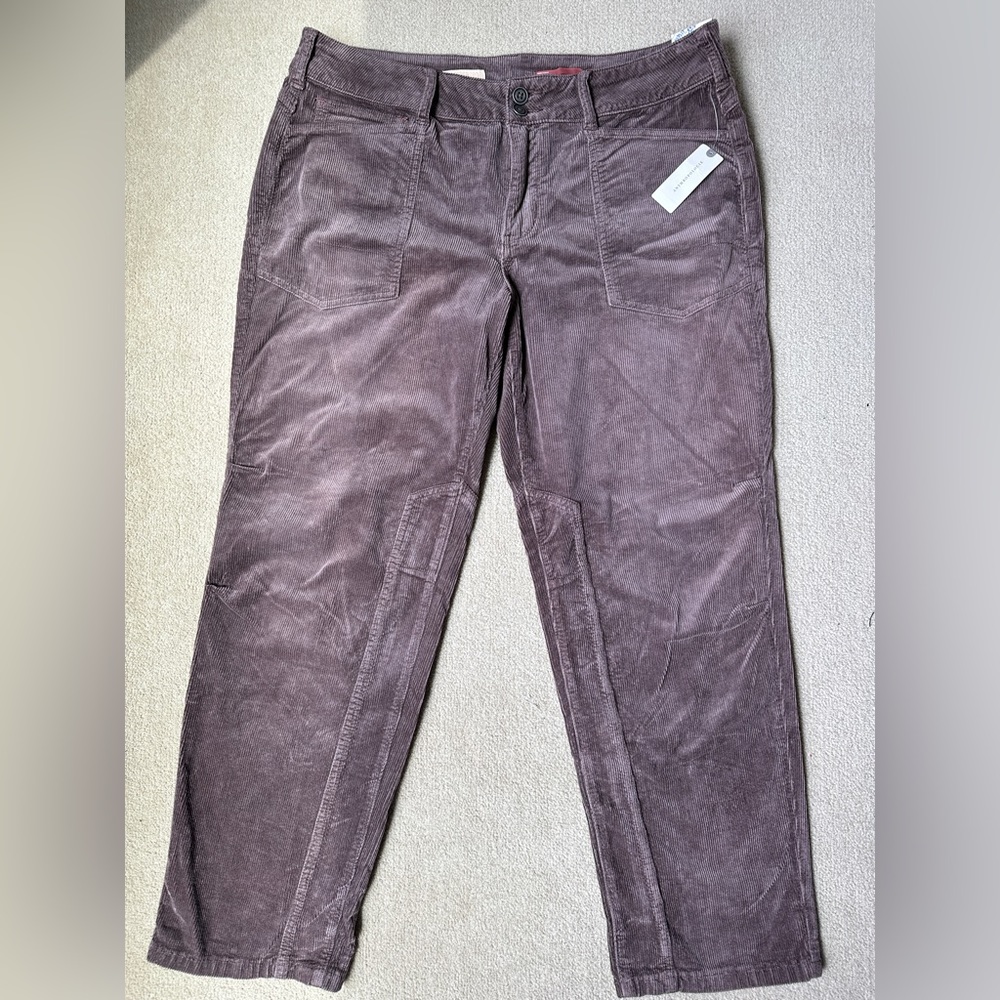 NWT Anthropologie Brown Corduroys- never worn size 32